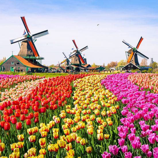 circuit-amsterdam_alsys-travel-02